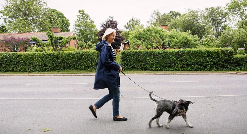 woman walking dog